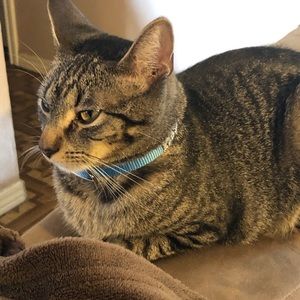 Meet your Posher, Alma